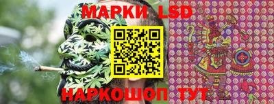 МДПВ Новозыбков