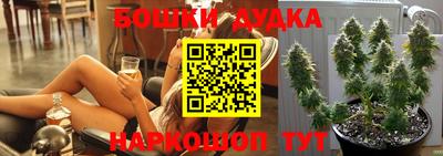 тгк Новокубанск