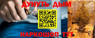 МДПВ Новозыбков