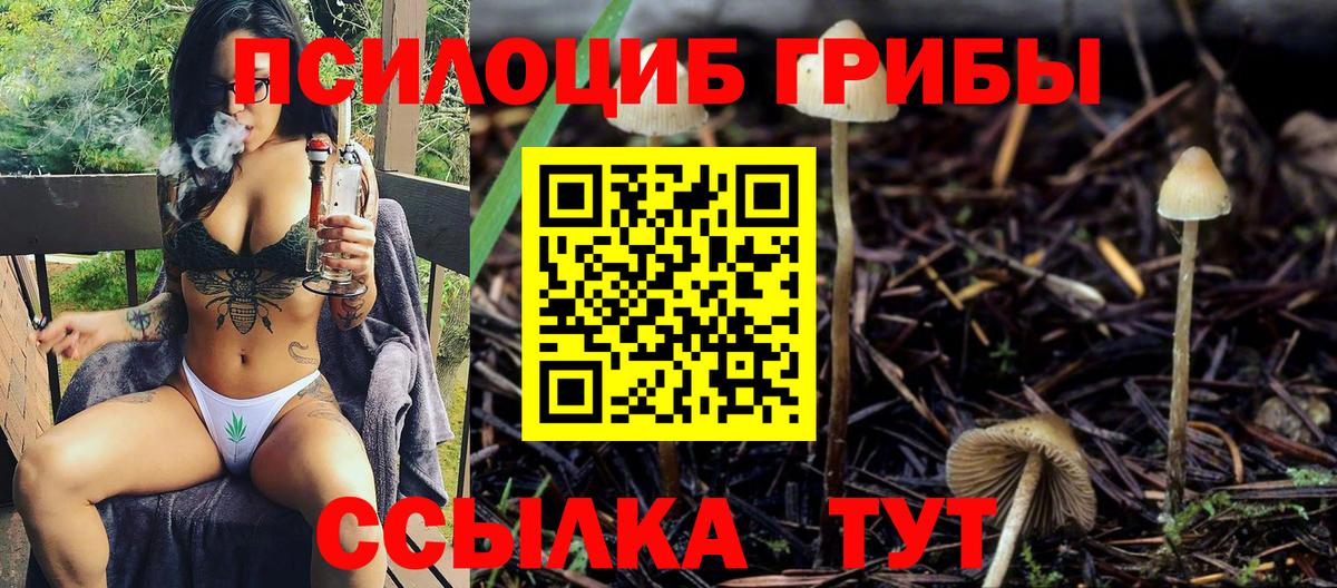 Трёхгорный  Псилоцибиновые грибы Magic Shrooms  Вход с VPN 